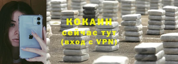 шишки Аркадак
