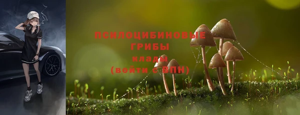 шишки Аркадак