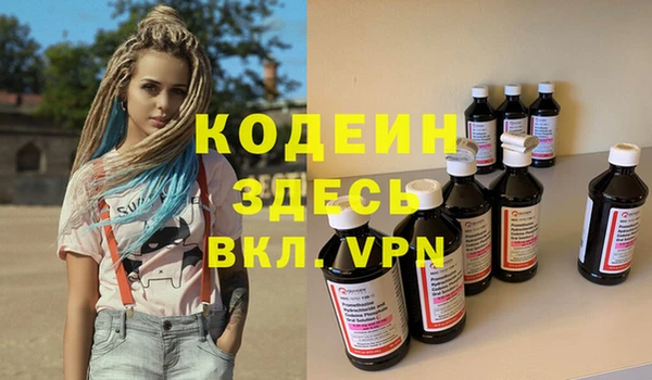 шишки Аркадак