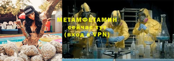 шишки Аркадак