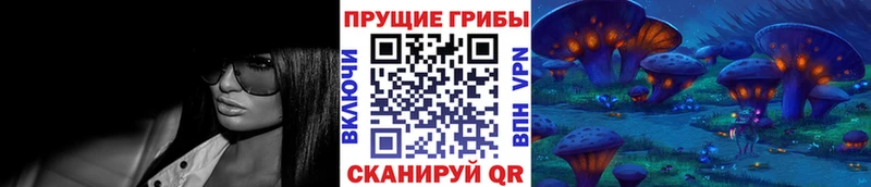 omg сайт  Советская Гавань  Псилоцибиновые грибы GOLDEN TEACHER 